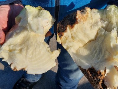 Graanrepubliek_oktober_2024_41